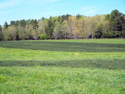 Biosolid application field in Orange County, North Carolina