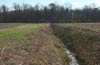 photo, agricultural drainage ditch