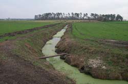 photo of drainage ditch in an agricultural field