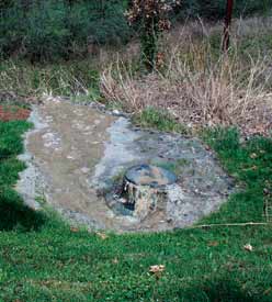 Photograph of overflow from a residential sewer manhole.