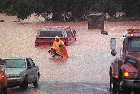 photograph of cars, flooded