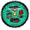 City of Danville Logo