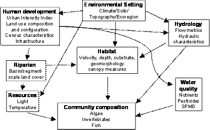 Urban conceptual model