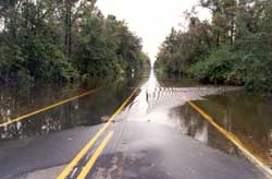 Flooding at Tar River