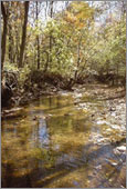 Hogan Creek