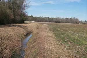 Dry agricultural field; drainage ditch on left side of photo; white truck in background