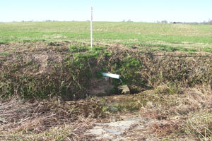 Small diameter tile drain in the side of an agricultural field