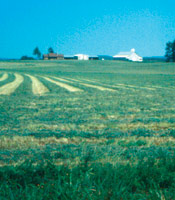 Photograph of agricultural field and farm buildings.