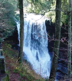 Photograph of Looking Glass Falls on the Cullasaja River.
