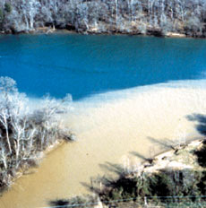 Photograph of a plume of highly turbid water entering a clear channel.