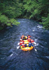 Photograph of eight people whitewater rafting.