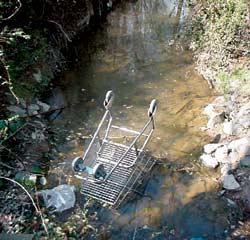 Photograph of a streambed used as a dumping site; debris includes a discarded shopping cart.