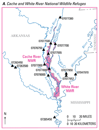 Cache and White River National Wildlife Refuges