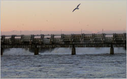 Tillery Dam, high flow