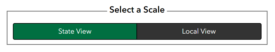 Select a Scale toggle button