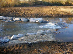 Rock vane installed as part of restoration of Pauls Creek